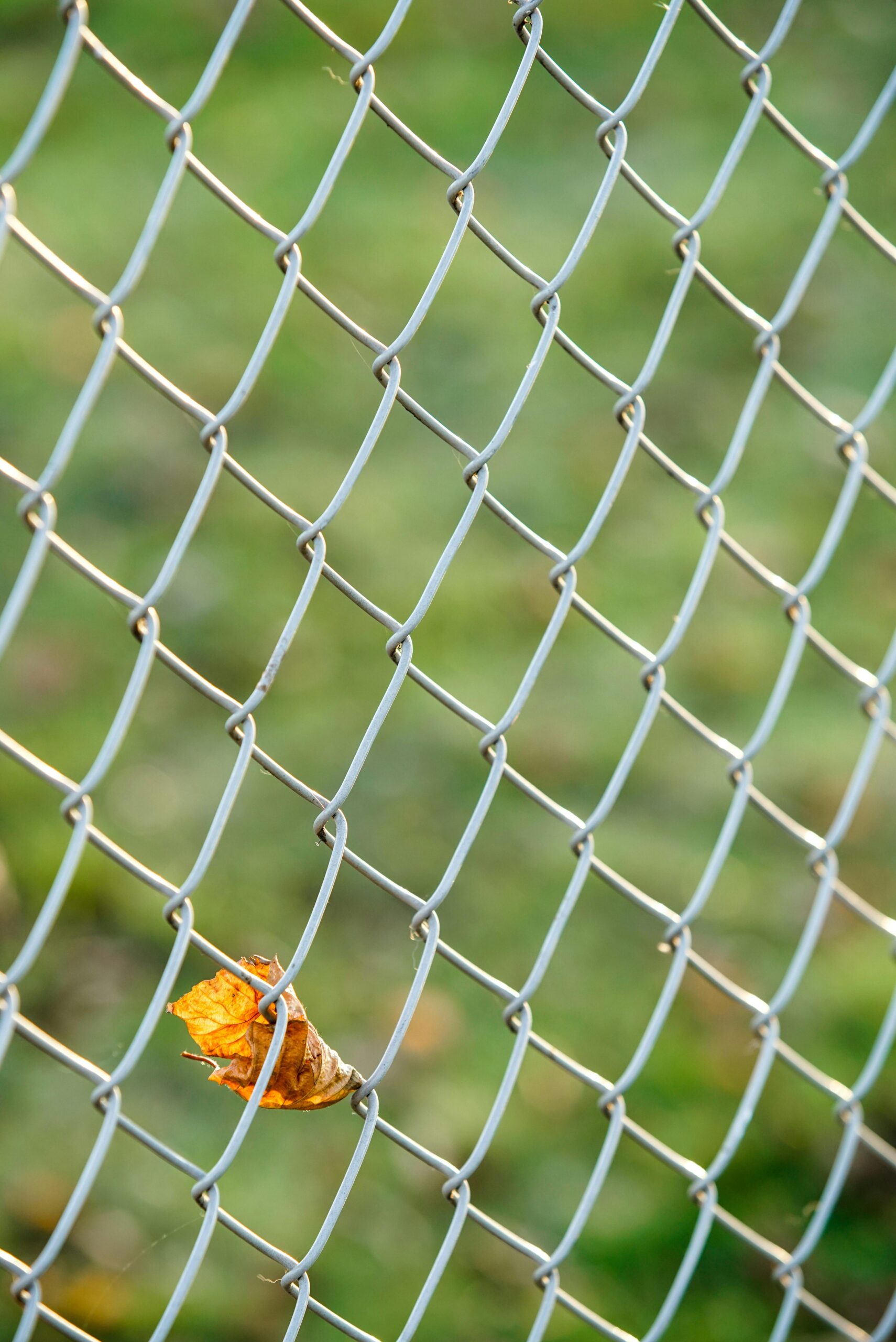 chain link fence service in New York | chain link fence service New Jersey